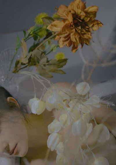 亚洲精品视频久久-独播免费电视剧