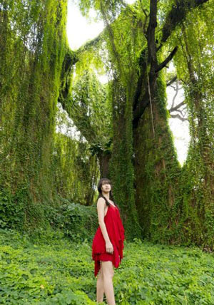 美女裸体视频一区在线-免费独播英文版字幕